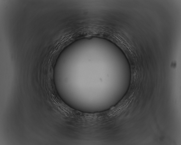 X0000095670961200801081035