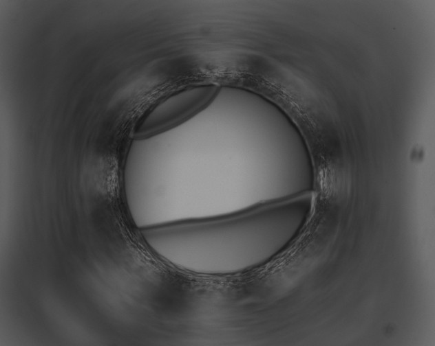 X0000095670963200801081035