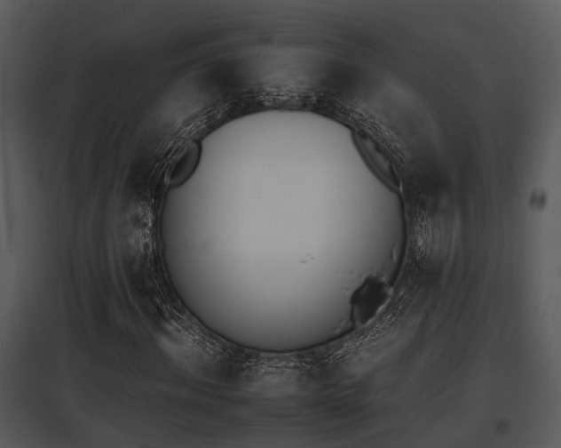 X0000095670964200801081035