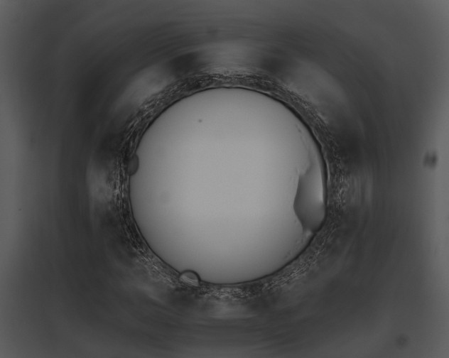 X0000095670966200801081035