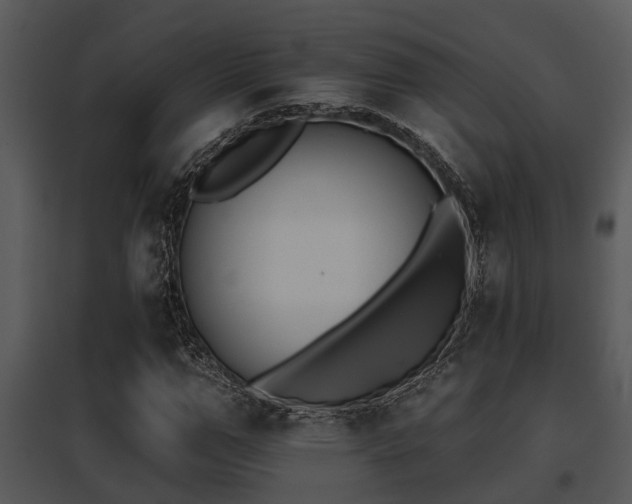 X0000095670967200801081035