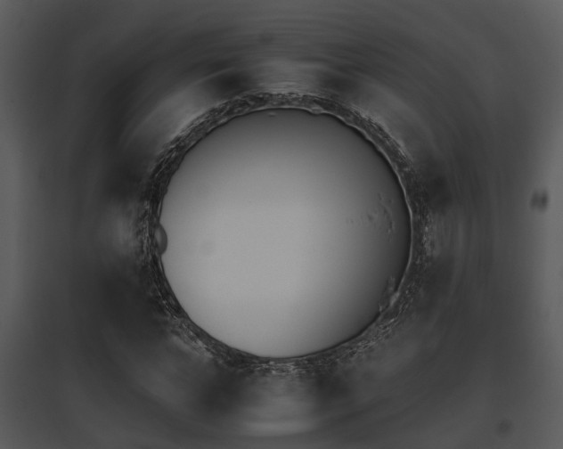 X0000095670968200801081035