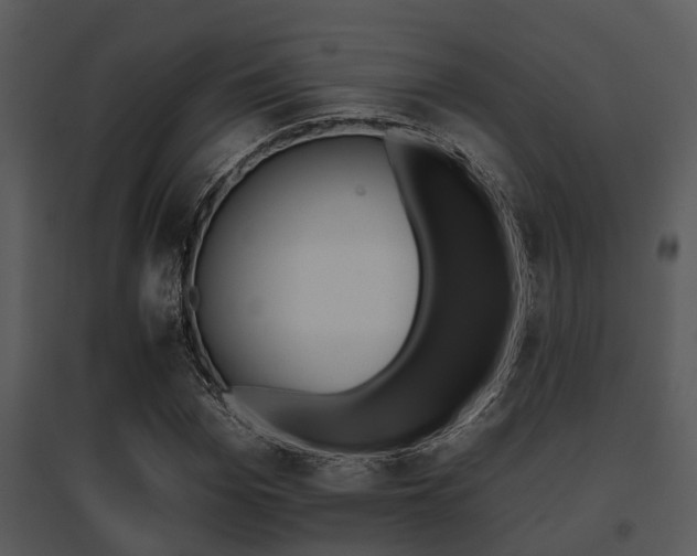 X0000095670969200801081035