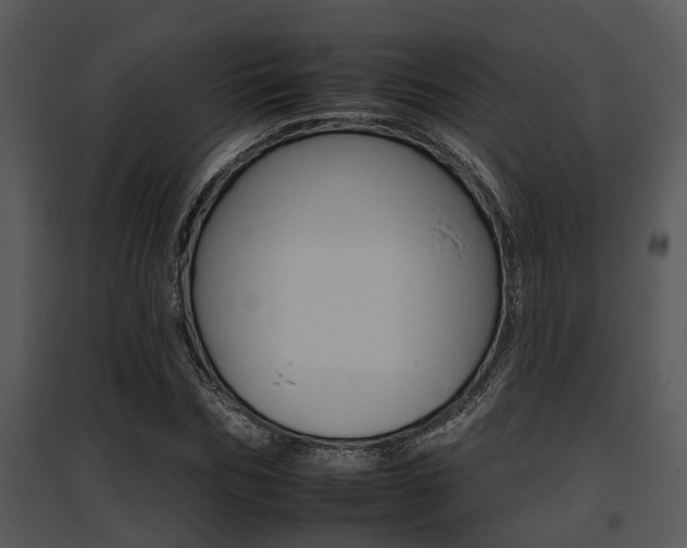 X0000095670970200801081035