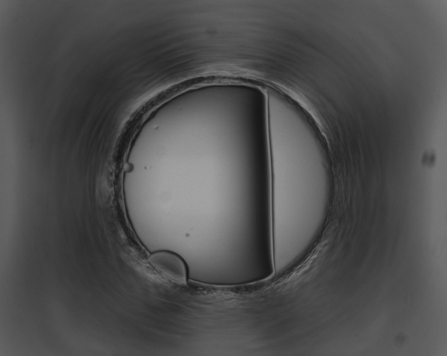 X0000095670971200801081035