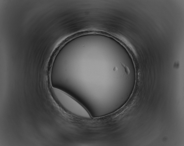 X0000095670972200801081035