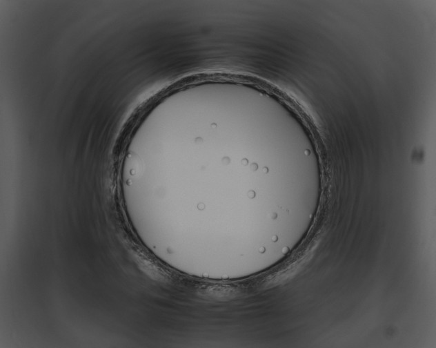 X0000095670974200801081035