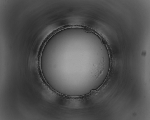 X0000095670976200801081035