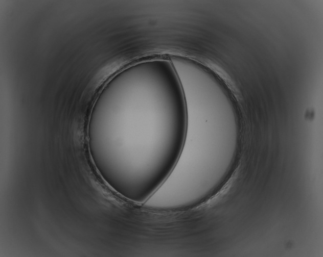 X0000095670977200801081035