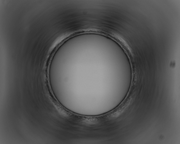X0000095670978200801081035