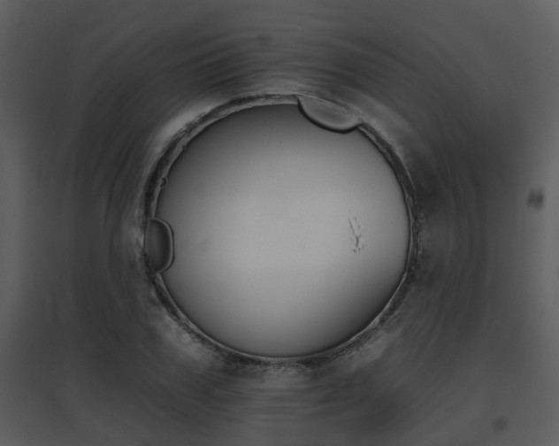 X0000095670979200801081035