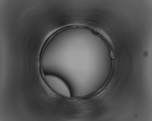 X0000095670980200801081035