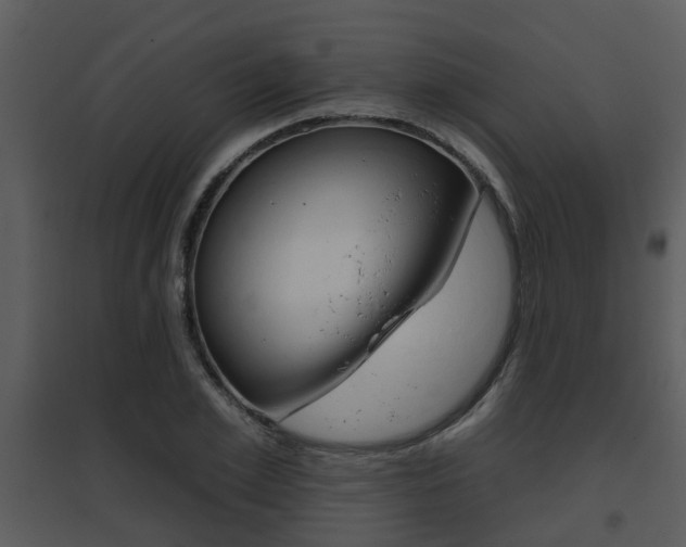 X0000095670981200801081035