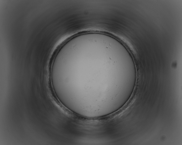 X0000095670982200801081035