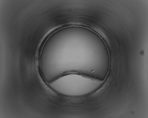 X0000095670984200801081035