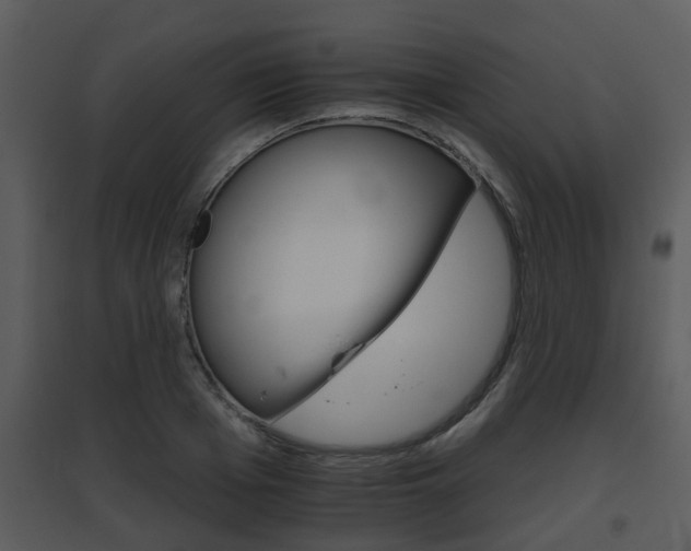 X0000095670985200801081035