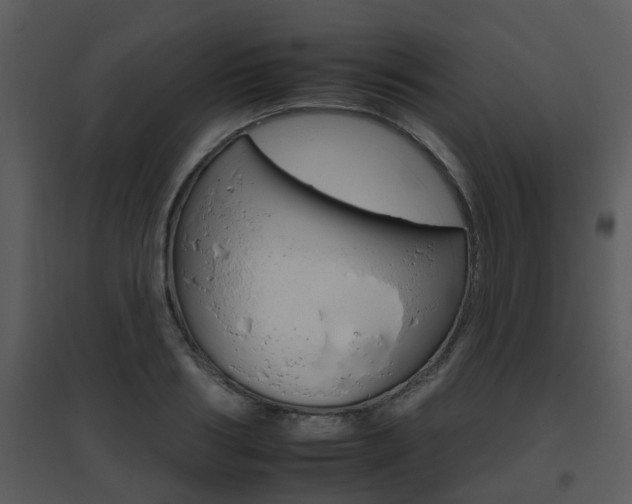X0000095670986200801081035