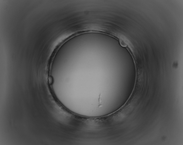 X0000095670987200801081035