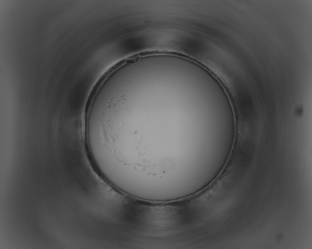 X0000095670988200801081035