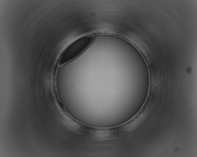 X0000095670989200801081035