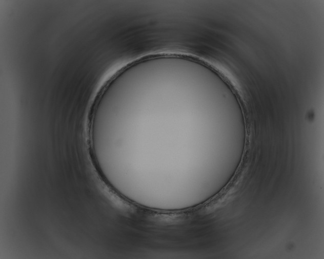 X0000095670990200801081035