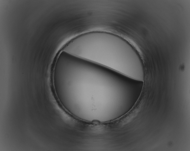 X0000095670991200801081035
