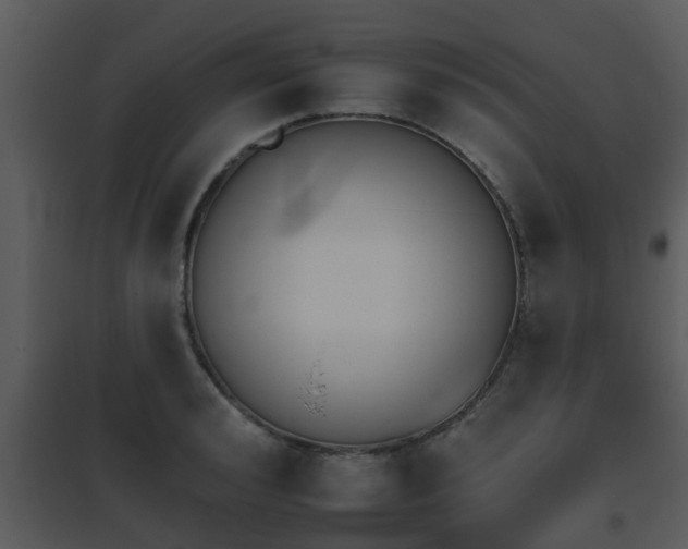 X0000095670992200801081035