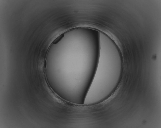 X0000095670993200801081035