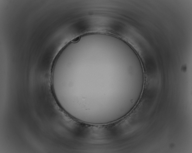 X0000095670994200801081035