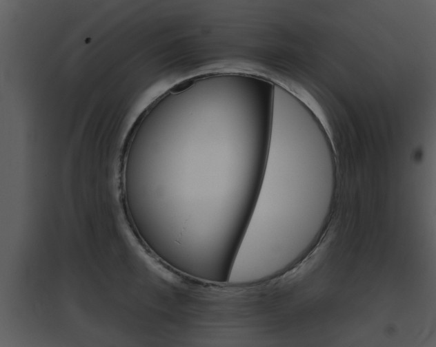 X0000095670997200801081035
