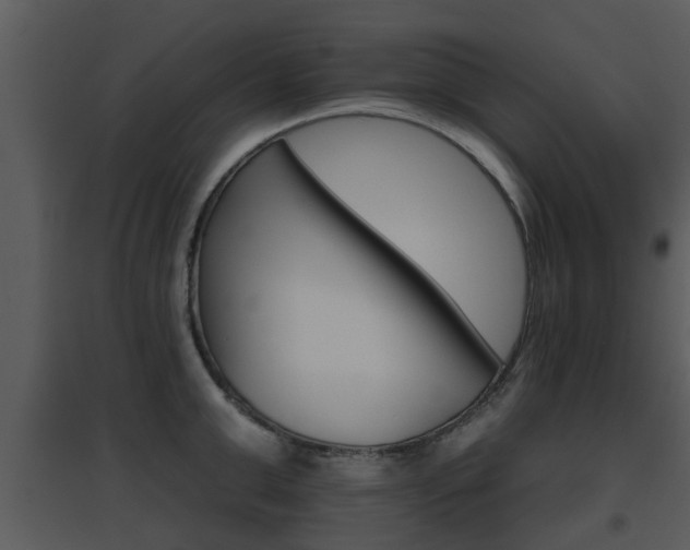 X0000095670999200801081035