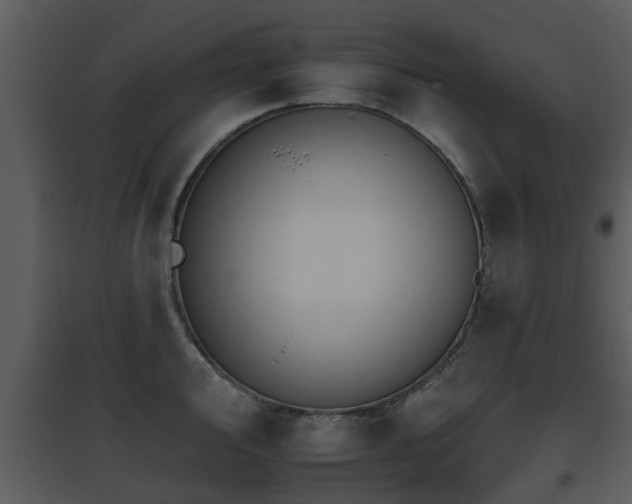 X0000095671000200801081035