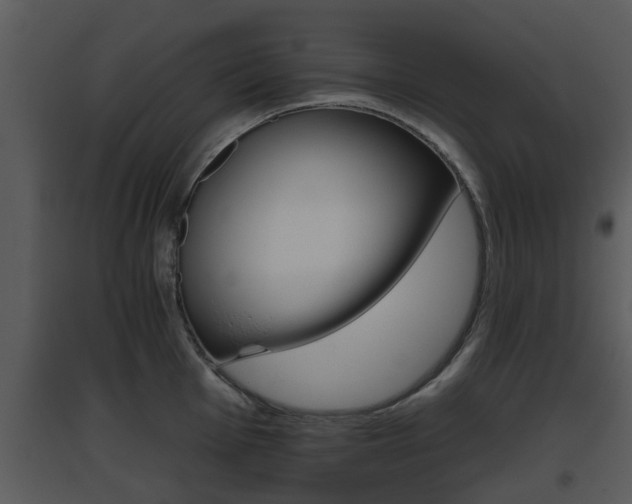 X0000095671001200801081035