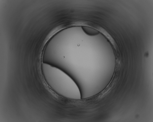 X0000095671002200801081035