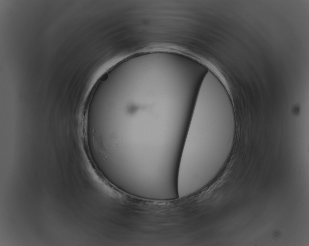 X0000095671003200801081035