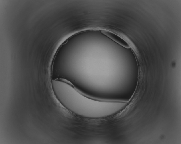 X0000095671004200801081035