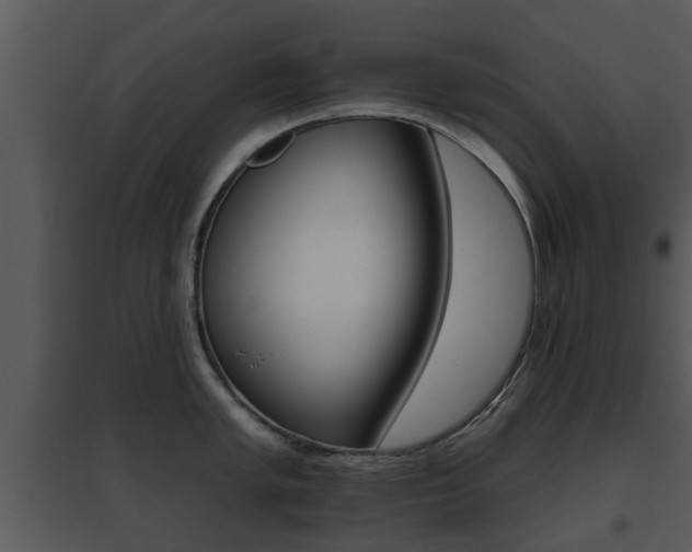 X0000095671005200801081035