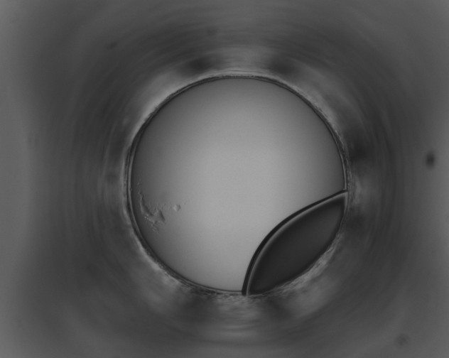 X0000095671006200801081035