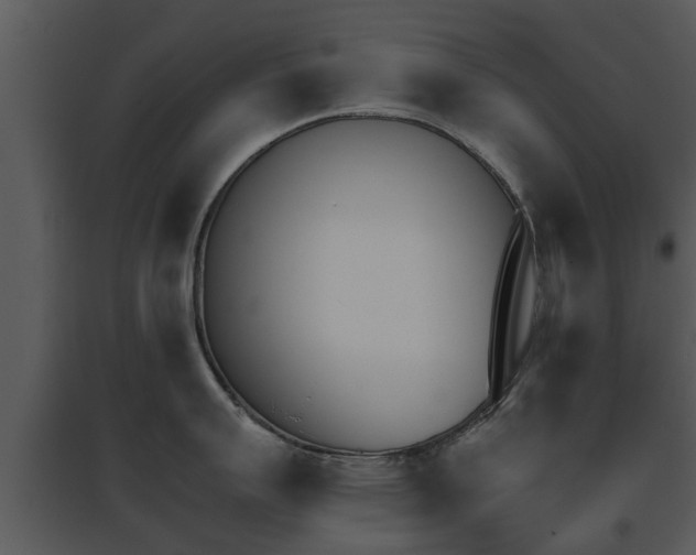 X0000095671007200801081035