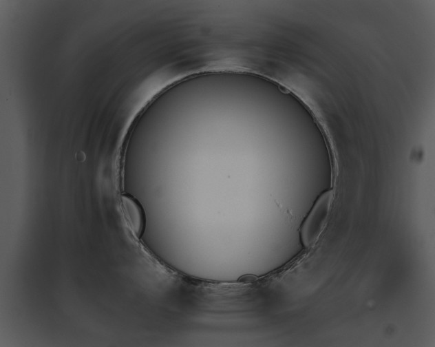 X0000095671008200801081035