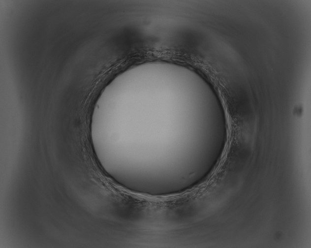 X0000095671009200801081034