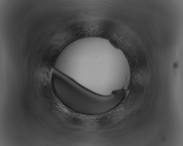 X0000095671010200801081034