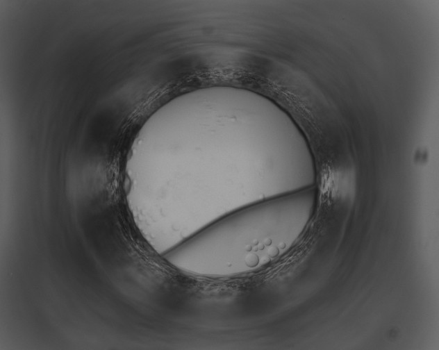 X0000095671011200801081034
