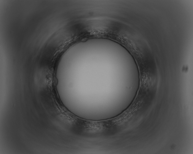X0000095671012200801081034
