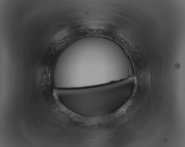 X0000095671013200801081034
