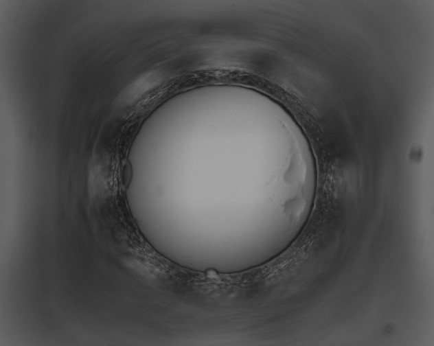 X0000095671014200801081034