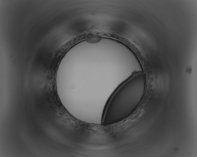 X0000095671015200801081034