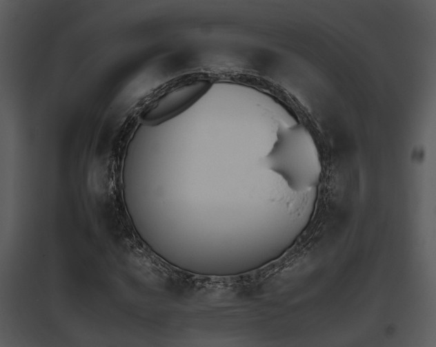 X0000095671016200801081034