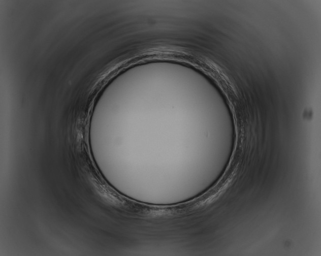 X0000095671017200801081034