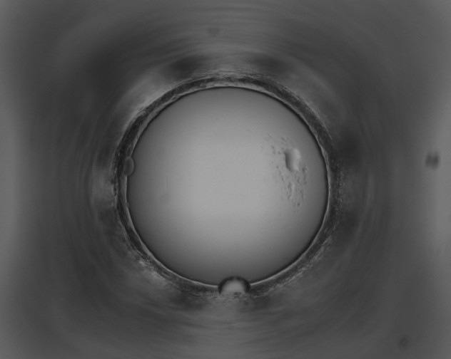 X0000095671018200801081034